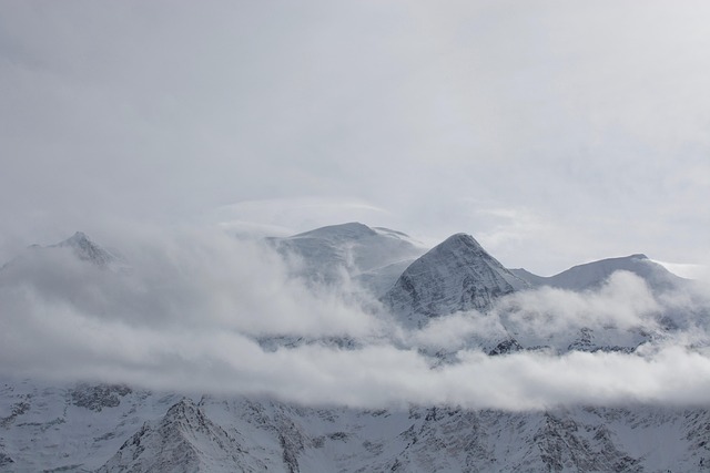 solar panels installed on canadian residential roof with snow-capped mountains in background