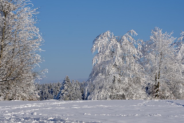 solar panels on a modern bungalow roof covered in light snow in Alberta winter