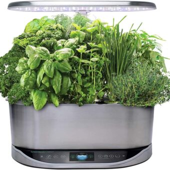 AeroGarden Bounty Elite - Indoor Garden with LED Grow Light, WiFi and Alexa Compatible, Stainless Steel